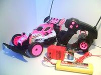 Nikko Panther 1/16 Evo Pro-Line