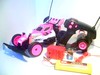 Nikko 1/16 Evo Pro-Line Panther