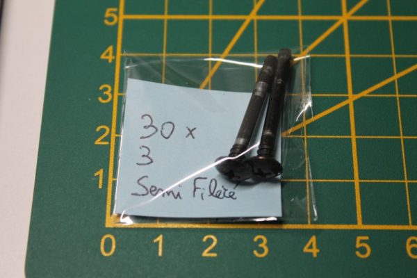 Lot de 2 vis 30x3mm semi-filetées